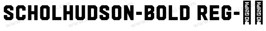 ScholHudson-Bold Reg字体转换